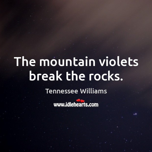 The mountain violets break the rocks. Tennessee Williams Picture Quote
