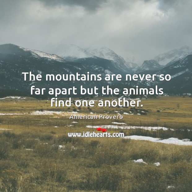 The mountains are never so far apart but the animals find one another. American Proverbs Image
