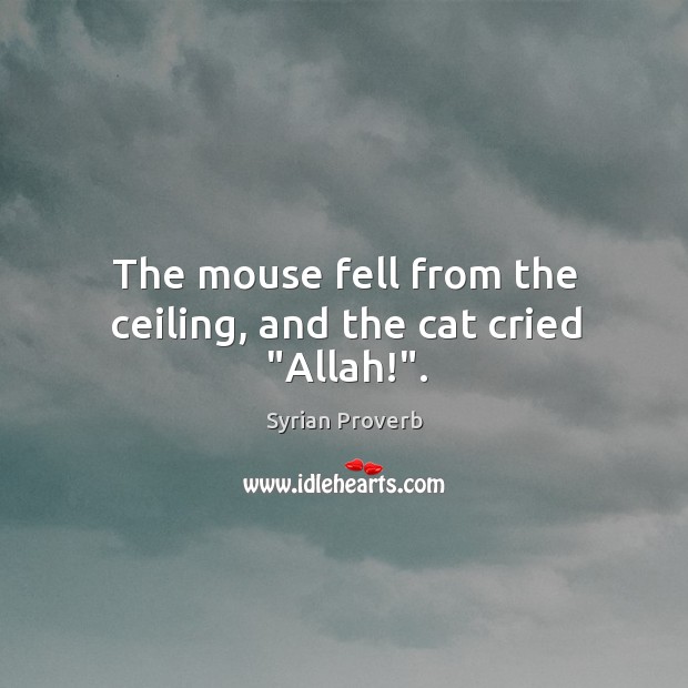 The mouse fell from the ceiling, and the cat cried “allah!”. Syrian Proverbs Image