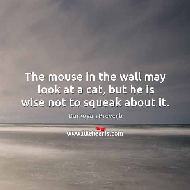 The mouse in the wall may look at a cat, but he is wise not to squeak about it. Darkovan Proverbs Image