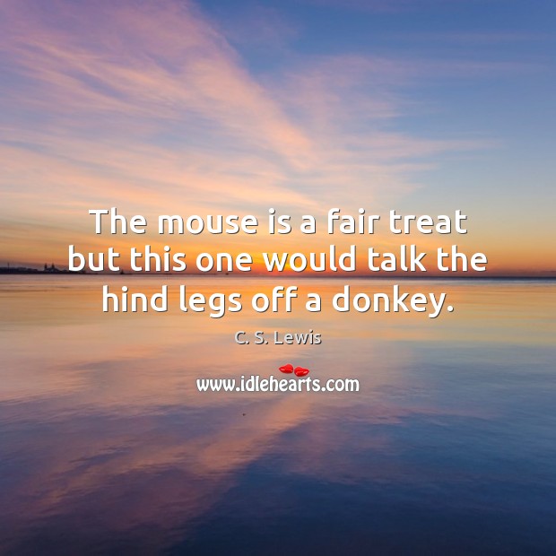 The mouse is a fair treat but this one would talk the hind legs off a donkey. Image