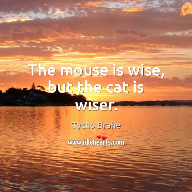 The mouse is wise, but the cat is wiser. Image