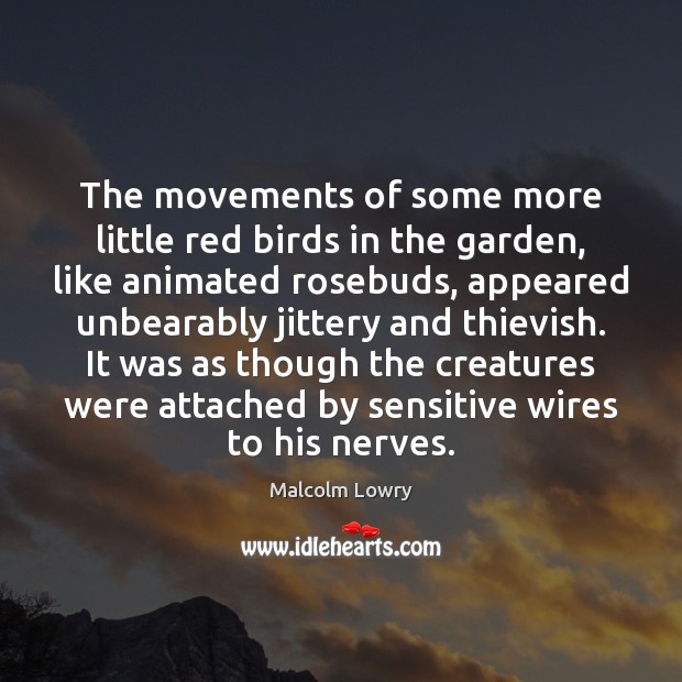 The movements of some more little red birds in the garden, like Image