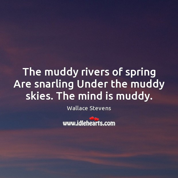 The muddy rivers of spring Are snarling Under the muddy skies. The mind is muddy. Wallace Stevens Picture Quote
