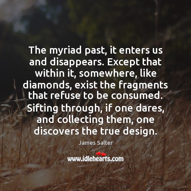 The myriad past, it enters us and disappears. Except that within it, James Salter Picture Quote