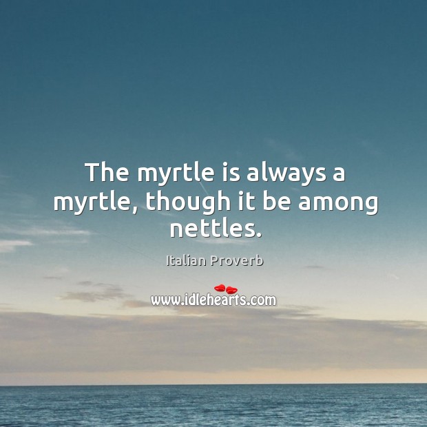 The myrtle is always a myrtle, though it be among nettles. Image