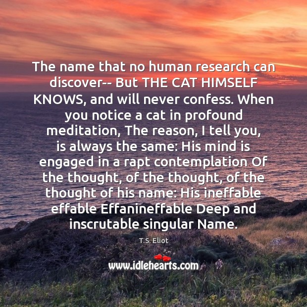The name that no human research can discover– But THE CAT HIMSELF T.S. Eliot Picture Quote