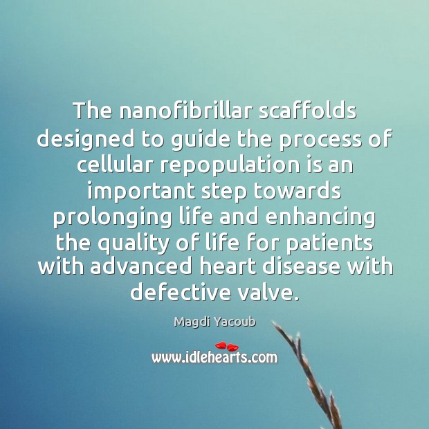 The nanofibrillar scaffolds designed to guide the process of cellular repopulation is Magdi Yacoub Picture Quote