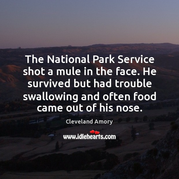 The National Park Service shot a mule in the face. He survived Cleveland Amory Picture Quote