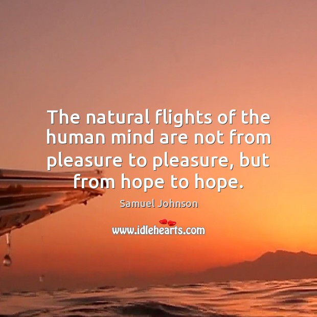 The natural flights of the human mind are not from pleasure to 