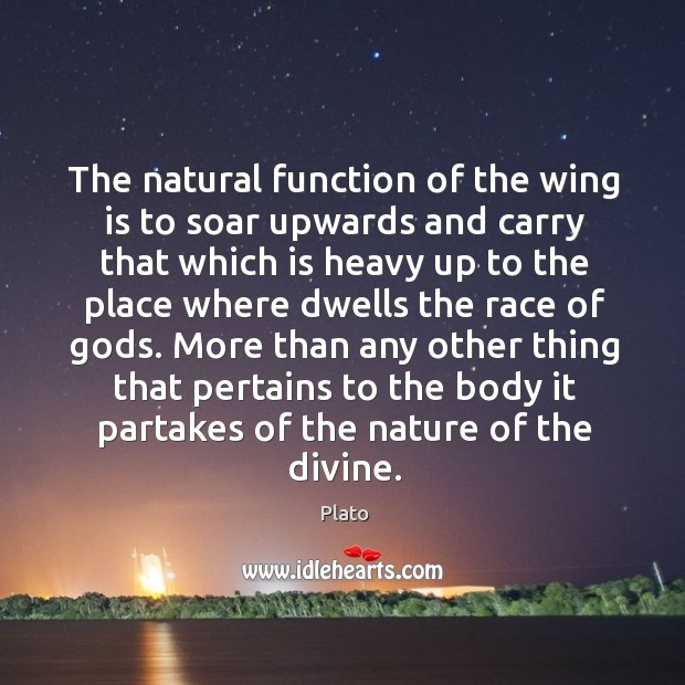The natural function of the wing is to soar upwards and carry Plato Picture Quote