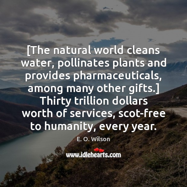 [The natural world cleans water, pollinates plants and provides pharmaceuticals, among many E. O. Wilson Picture Quote