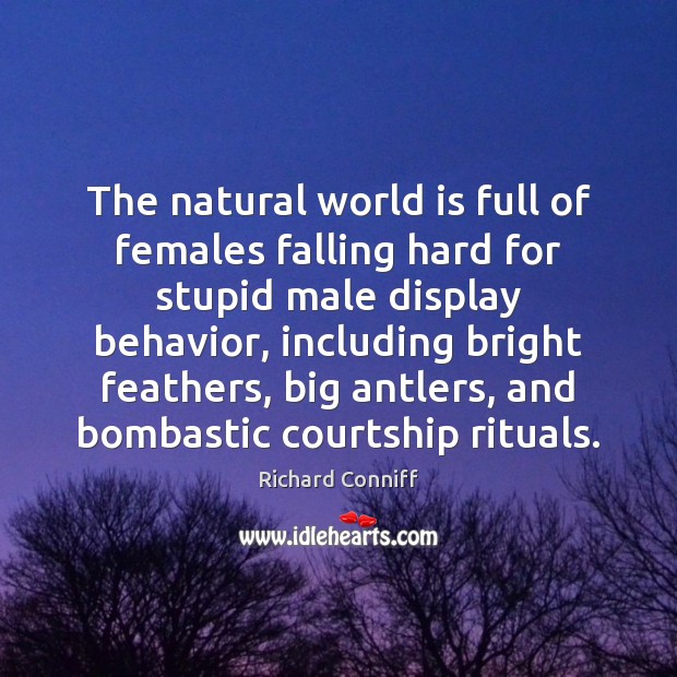 The natural world is full of females falling hard for stupid male Richard Conniff Picture Quote