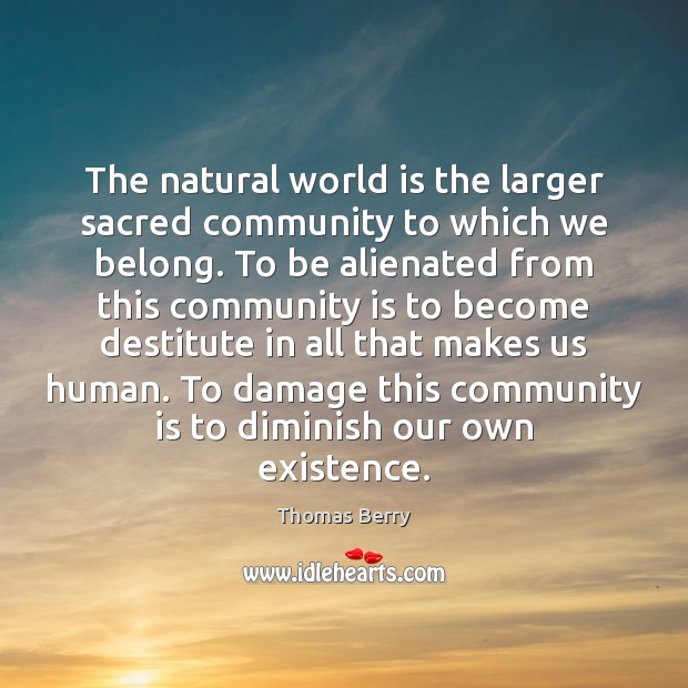 The natural world is the larger sacred community to which we belong. Thomas Berry Picture Quote