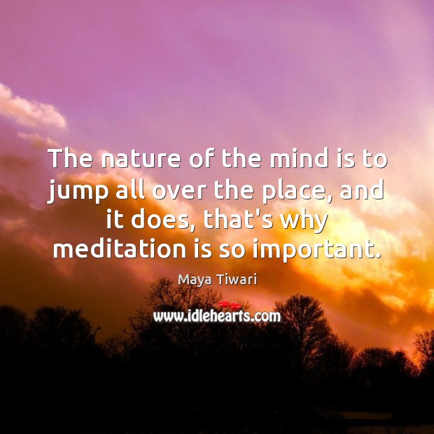 The nature of the mind is to jump all over the place, Maya Tiwari Picture Quote