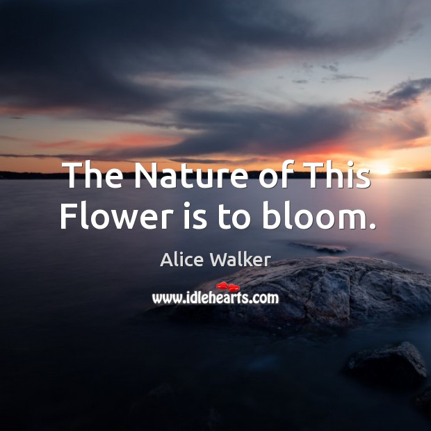 The nature of this flower is to bloom. Alice Walker Picture Quote