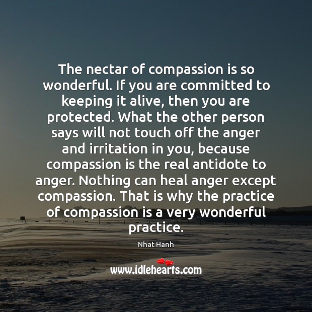 The nectar of compassion is so wonderful. If you are committed to Nhat Hanh Picture Quote