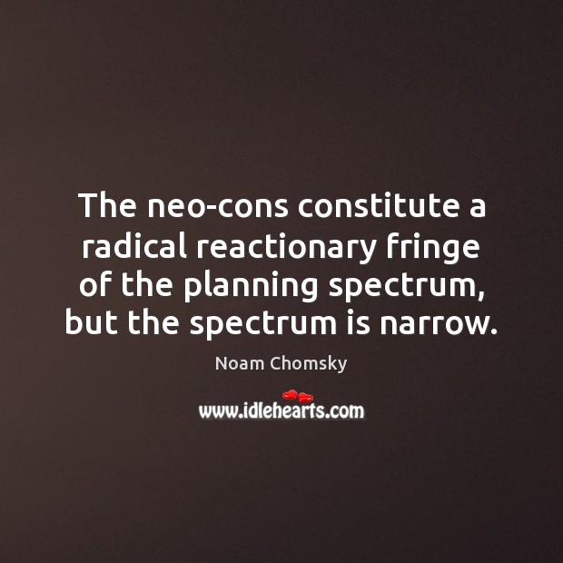 The neo-cons constitute a radical reactionary fringe of the planning spectrum, but Image