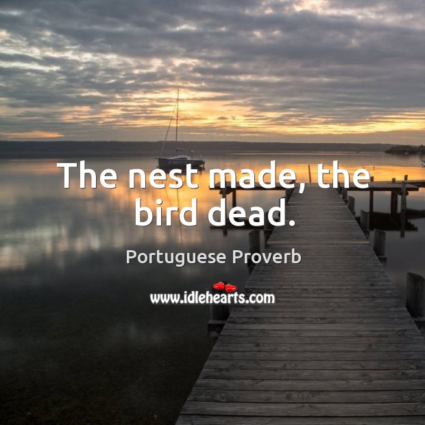 The nest made, the bird dead. Portuguese Proverbs Image
