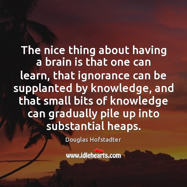 The nice thing about having a brain is that one can learn, Douglas Hofstadter Picture Quote
