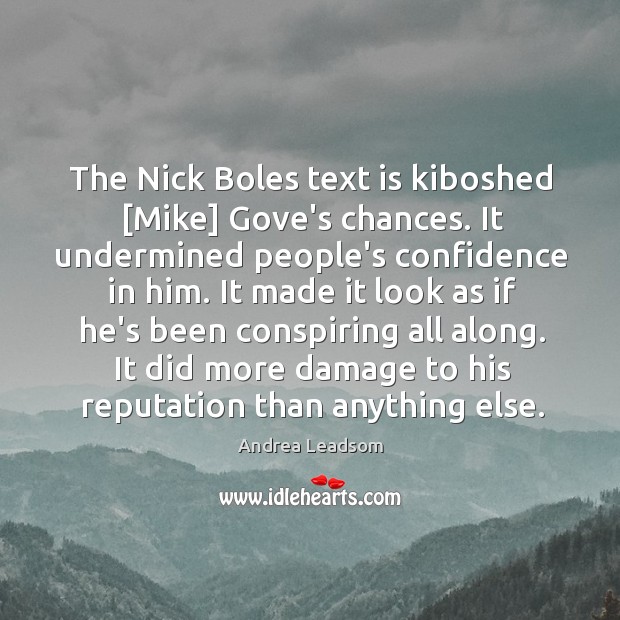The Nick Boles text is kiboshed [Mike] Gove’s chances. It undermined people’s Andrea Leadsom Picture Quote