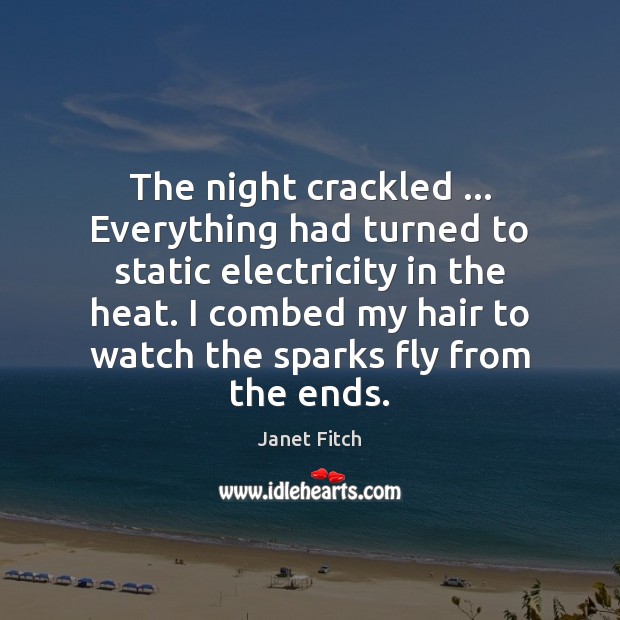The night crackled … Everything had turned to static electricity in the heat. Janet Fitch Picture Quote