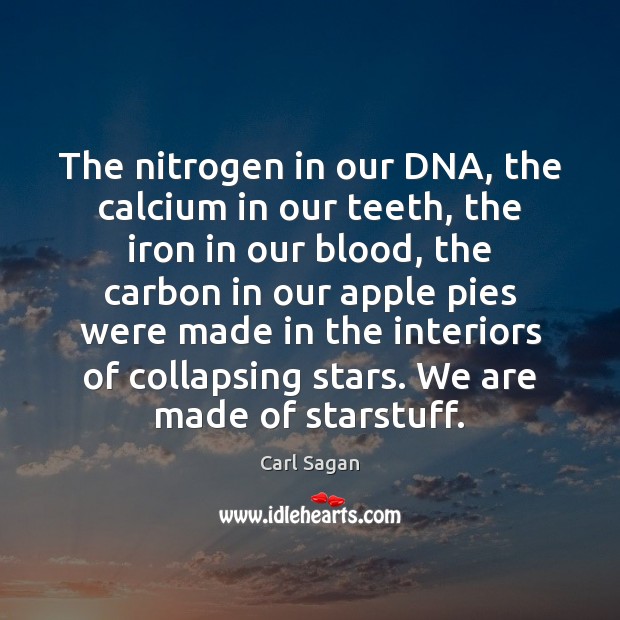 The nitrogen in our DNA, the calcium in our teeth, the iron Image