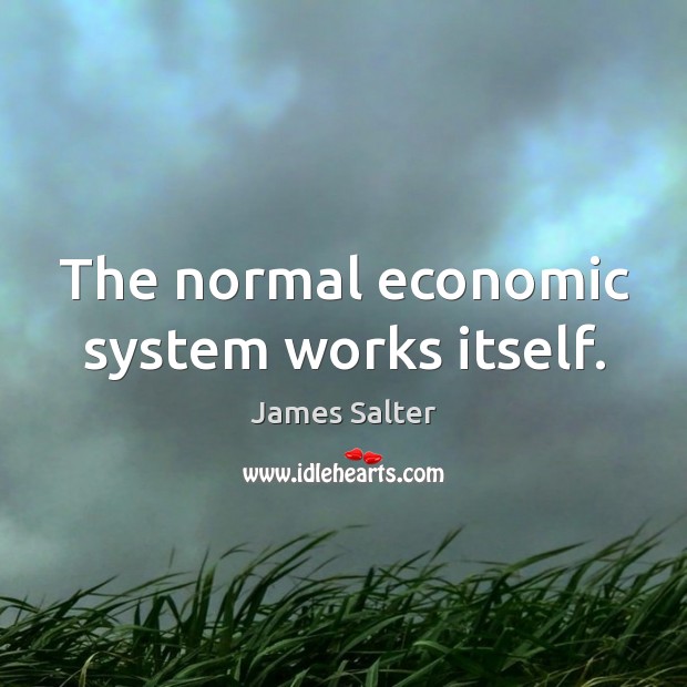 The normal economic system works itself. James Salter Picture Quote