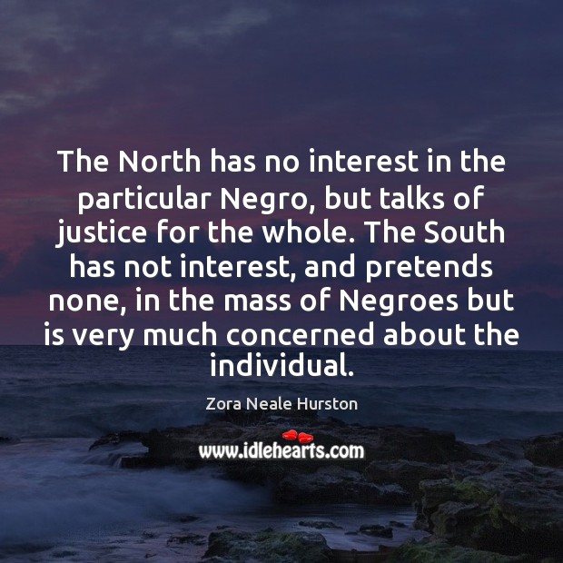 The North has no interest in the particular Negro, but talks of Image