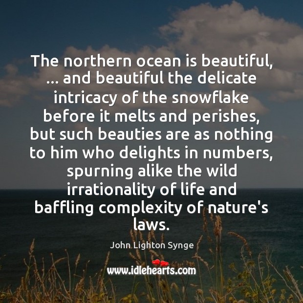 The northern ocean is beautiful, … and beautiful the delicate intricacy of the 