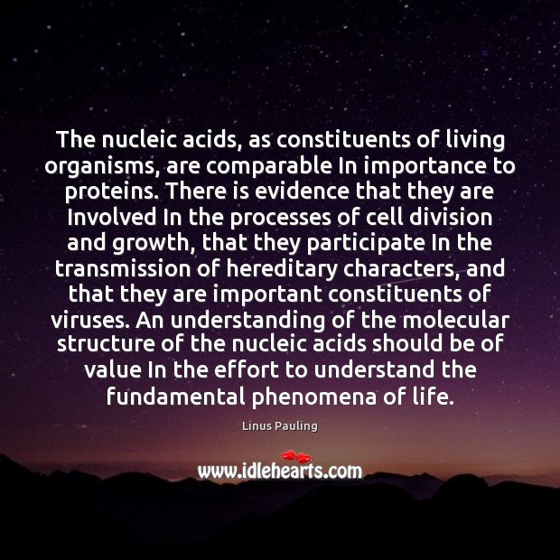 The nucleic acids, as constituents of living organisms, are comparable In importance Linus Pauling Picture Quote