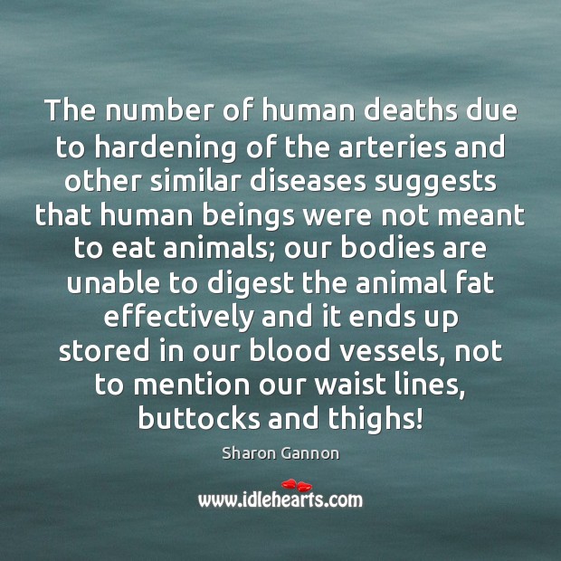 The number of human deaths due to hardening of the arteries and 