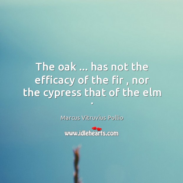 The oak … has not the efficacy of the fir , nor the cypress that of the elm . Marcus Vitruvius Pollio Picture Quote