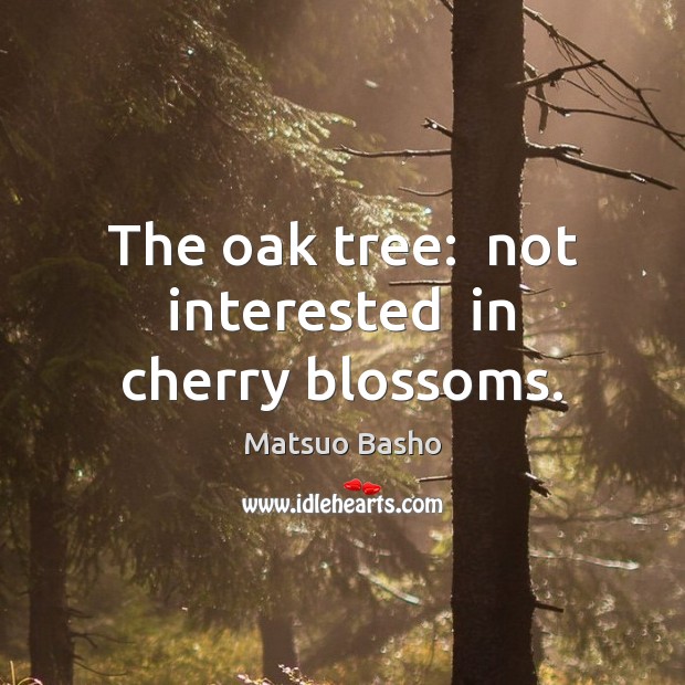 The oak tree:  not interested  in cherry blossoms. Matsuo Basho Picture Quote