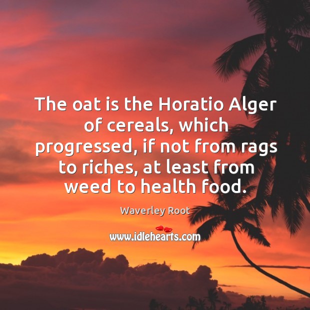 The oat is the Horatio Alger of cereals, which progressed, if not Waverley Root Picture Quote