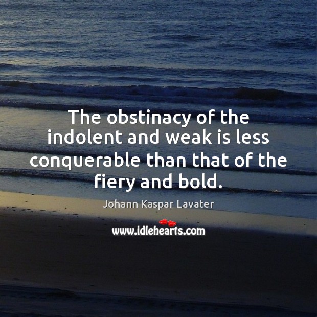 The obstinacy of the indolent and weak is less conquerable than that Image