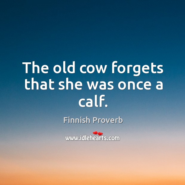 The old cow forgets that she was once a calf. Finnish Proverbs Image