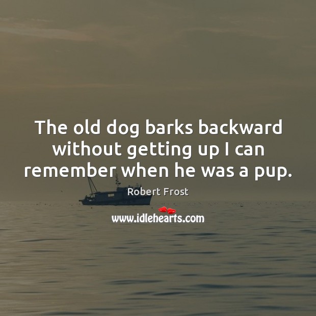 The old dog barks backward without getting up I can remember when he was a pup. Robert Frost Picture Quote