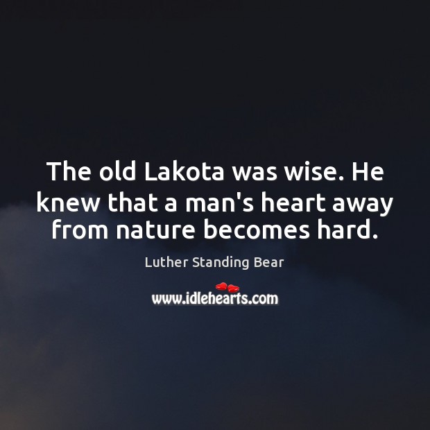 The old Lakota was wise. He knew that a man’s heart away from nature becomes hard. Luther Standing Bear Picture Quote
