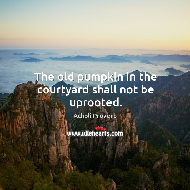 The old pumpkin in the courtyard shall not be uprooted. Acholi Proverbs Image