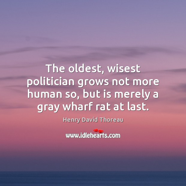 The oldest, wisest politician grows not more human so, but is merely Henry David Thoreau Picture Quote