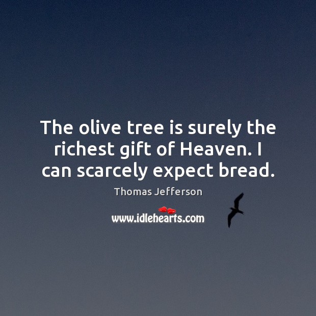 The olive tree is surely the richest gift of Heaven. I can scarcely expect bread. Image