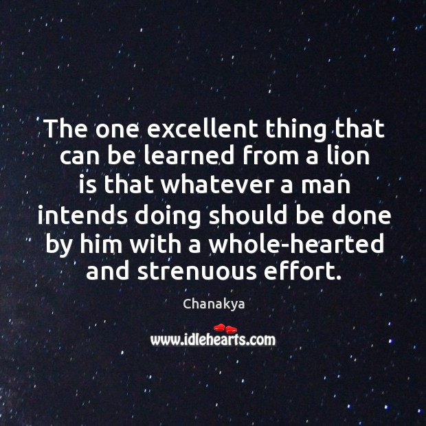 The one excellent thing that can be learned from a lion is that whatever a man Image