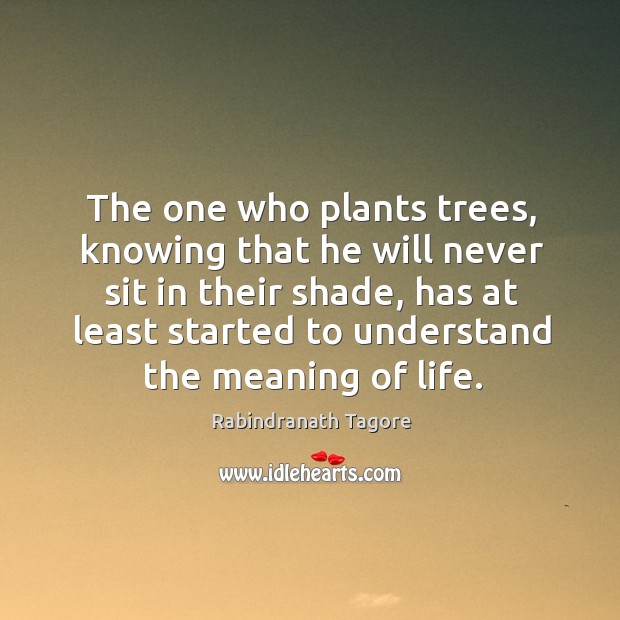 The one who plants trees, knowing that he will never sit in Rabindranath Tagore Picture Quote