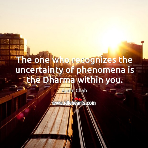 The one who recognizes the uncertainty of phenomena is the Dharma within you. Ajahn Chah Picture Quote