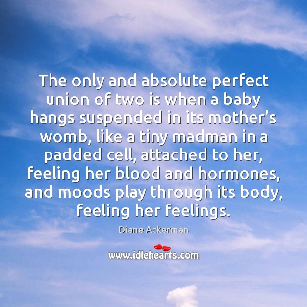 The only and absolute perfect union of two is when a baby Diane Ackerman Picture Quote