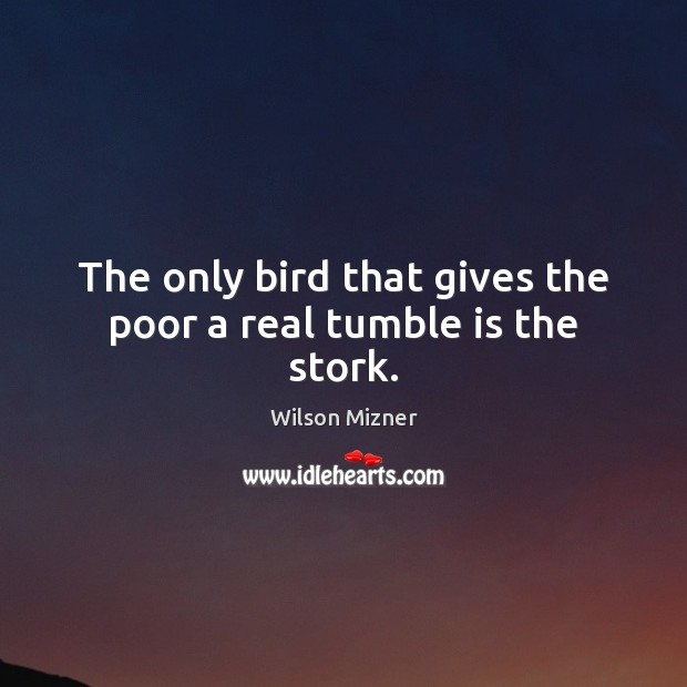The only bird that gives the poor a real tumble is the stork. Wilson Mizner Picture Quote