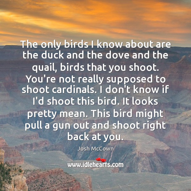 The only birds I know about are the duck and the dove Josh McCown Picture Quote