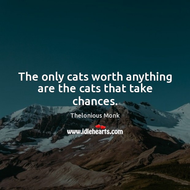 The only cats worth anything are the cats that take chances. Thelonious Monk Picture Quote