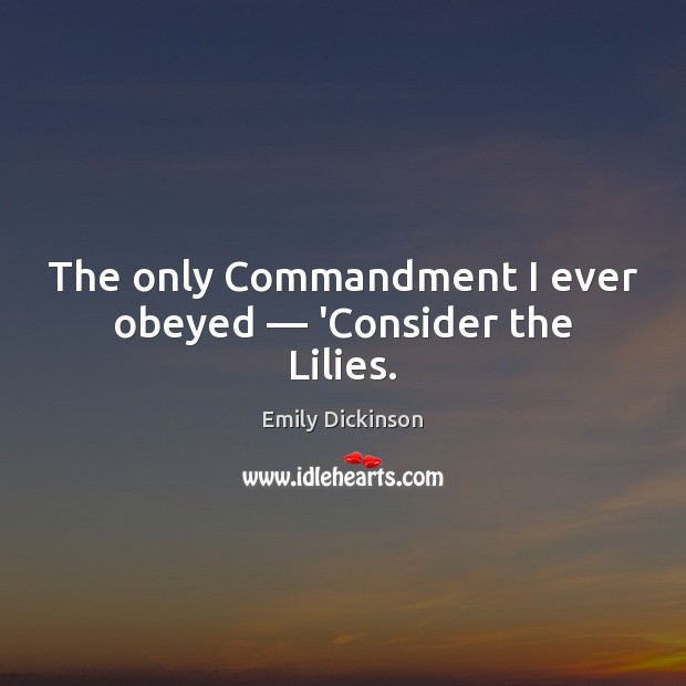 The only Commandment I ever obeyed — ‘Consider the Lilies. Emily Dickinson Picture Quote